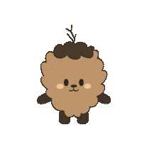 chae_chae hello hi chaechae 채채 Sticker