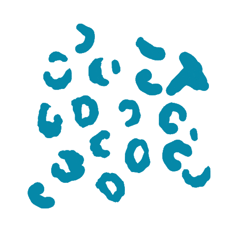 Leopard Print Art Sticker by Bumkins Baby