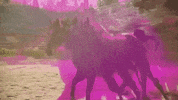 horse hors avey tare farmwave GIF