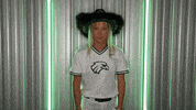 Softball GIF by RiverHawk Sports