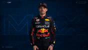 Ver Red Bull GIF by Oracle Red Bull Racing