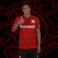 I Love Yes GIF by Bayer 04 Leverkusen