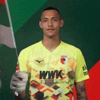 Football Flag GIF by FC Augsburg 1907