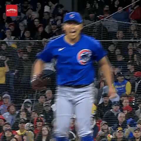 Cubs GIF by Marquee Sports Network