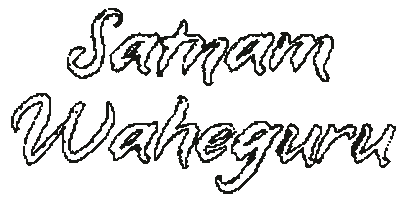 Punjabi Sticker by Desi Website