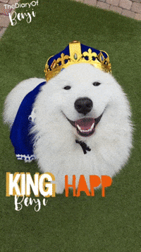 Happy Dog GIF