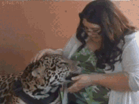 milk GIF