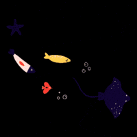 GIF by Raja – škola športu