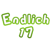 BF17de 17 fuhrerschein fahrerlaubnis bf17 Sticker