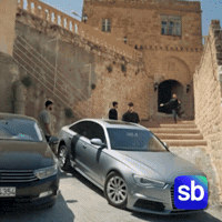 Dizi Sb GIF by Sporbulteni