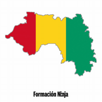 Flag Bandera GIF by Formación Ninja
