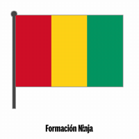 Flag Bandera GIF by Formación Ninja