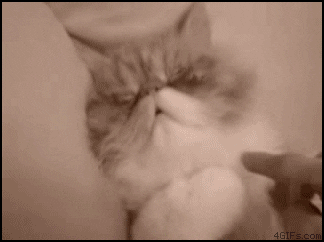 wake GIF