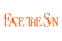 Sun 세븐틴 Sticker