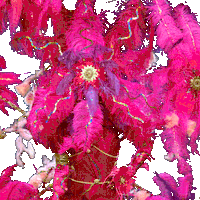 Oud En Nieuw Fireworks GIF by RTL