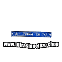 Hertha Bsc Sticker by UltrasInPeluze