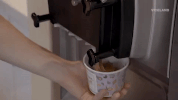 viceland GIF by THE ICE CREAM SHOW