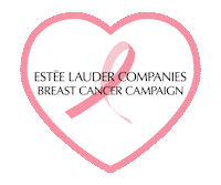 Bcc Pinkribbon Sticker by Estee Lauder KR