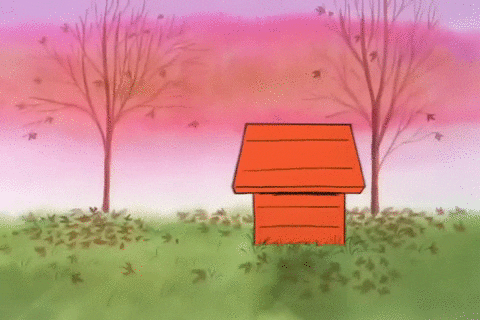 charlie brown thanksgiving GIF by Peanuts