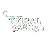 Bob Marley Reggae Sticker by Tribal Seeds