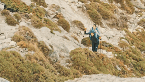 Fitness Running GIF by The North Face
