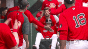 High Five Major League Baseball GIF by MLB