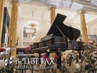 Concert GIF by Russian Music Seasons