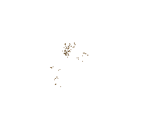 smoke Sticker