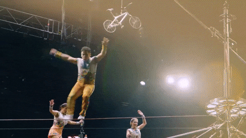 Circus Balance GIF by Ringling Bros. and Barnum & Bailey