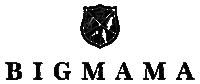 Logo Band Sticker by BIGMAMA = Rock + violin