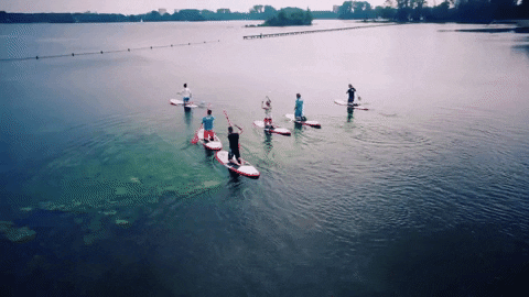 FunForest giphygifmaker GIF
