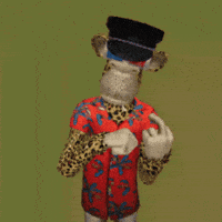 Racs GIF by LadiesofBAYC