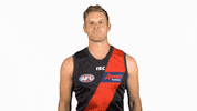 essendonfc dons bombers essendon hurley GIF