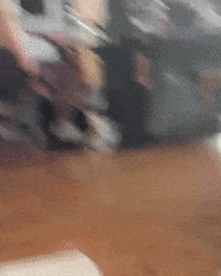 Respectivecollective GIF by Respective