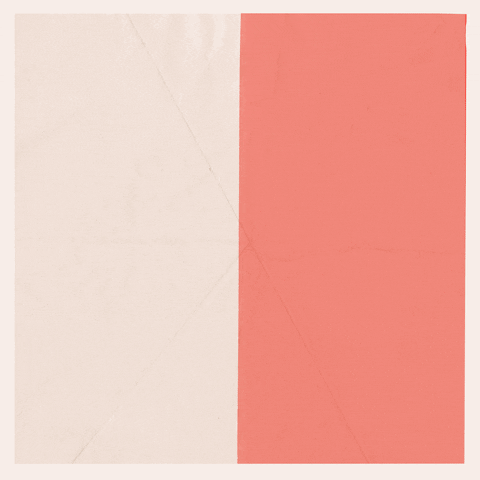 Bacanika giphyupload GIF