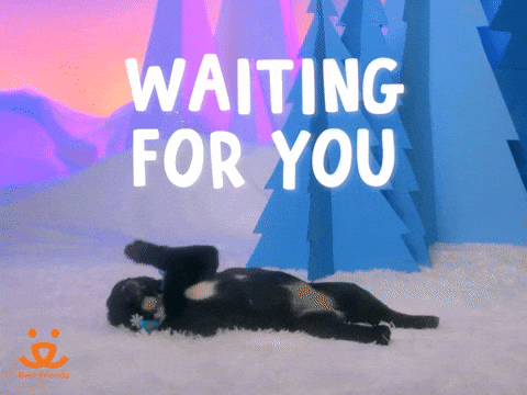 Best Friends Waiting GIF by Best Friends Animal Society