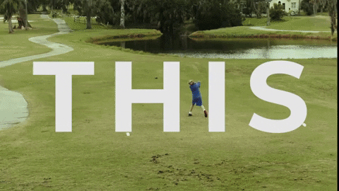 rparsons giphygifmaker GIF