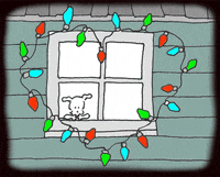 chippythedog chippythedog GIF