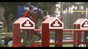 Jumping Team Usa GIF by FEI Global