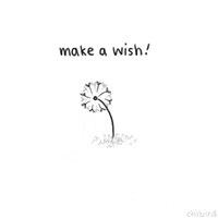 wish GIF