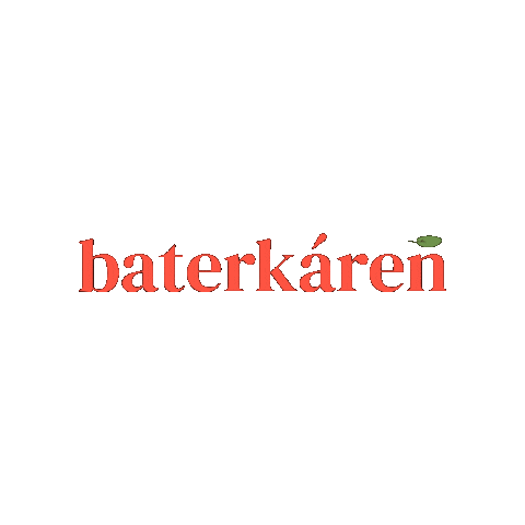 baterkaren giphygifmaker reuse trnava baterkaren Sticker