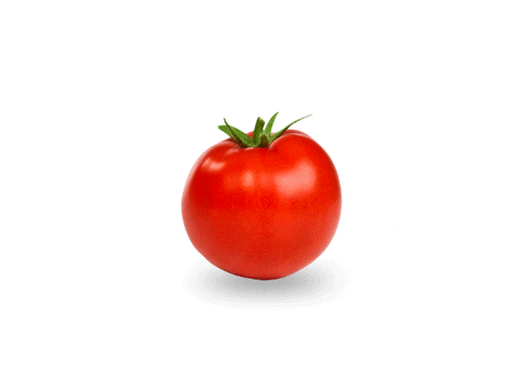 YASHICADIGITAL giphyupload master tomato ketchup GIF