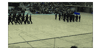 cat love GIF