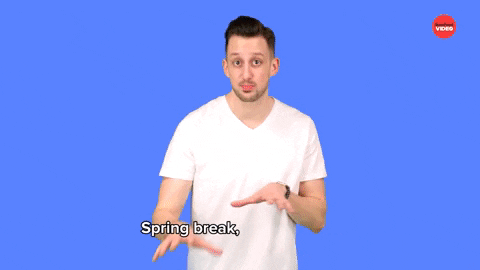 Spring Break GIF by BuzzFeed - Find & Share on GIPHY