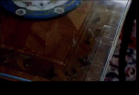 the new girl mv GIF by Lady Gaga