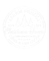 Christmas Trees Sticker by Aspen + Company