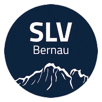 Sport Skiing Sticker by infomax