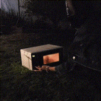 Fire Microwaving GIF