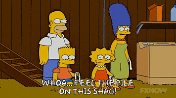 Lisa Simpson GIF by The Simpsons