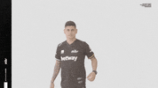 Counter-Strike Esports GIF by MIBR